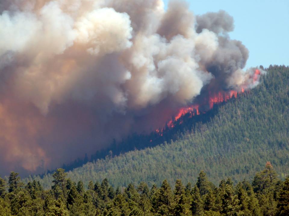 Arizona's largest wildfires