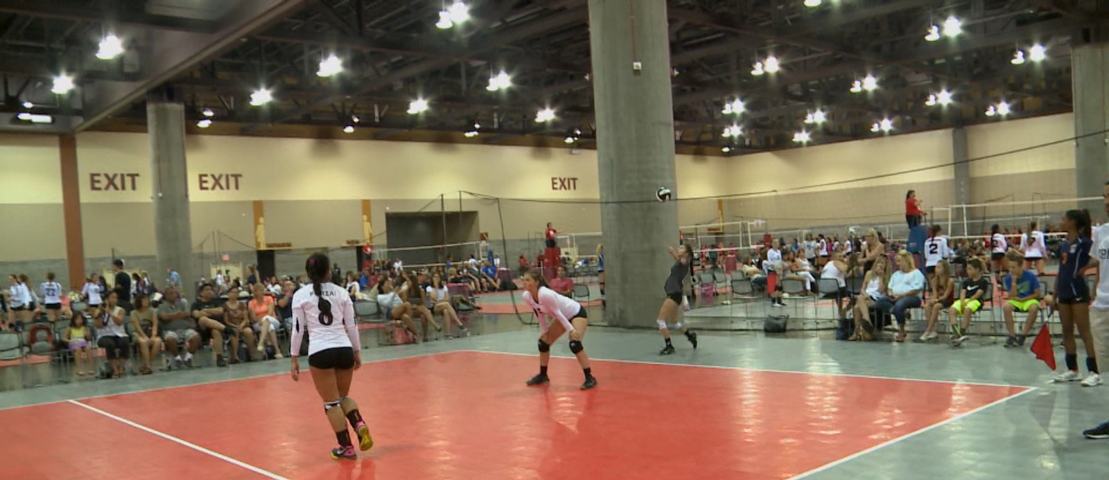 Volleyball Festival an important event for the sport, Phoenix