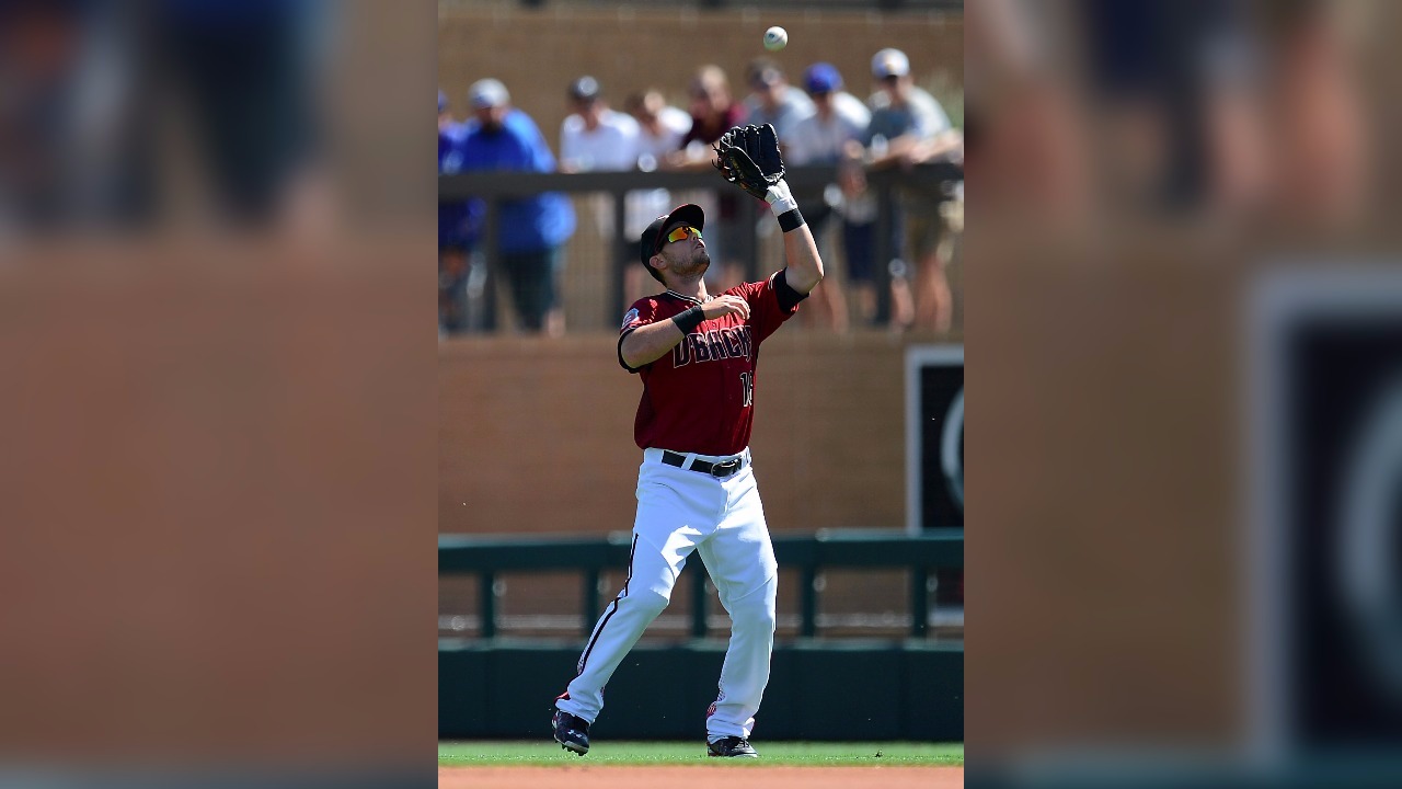 Arizona Diamondbacks lose All-Star outfielder AJ Pollock to fractured elbow, Arizona Diamondbacks