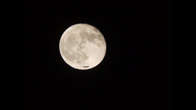 Rare hunter's supermoon to light up...