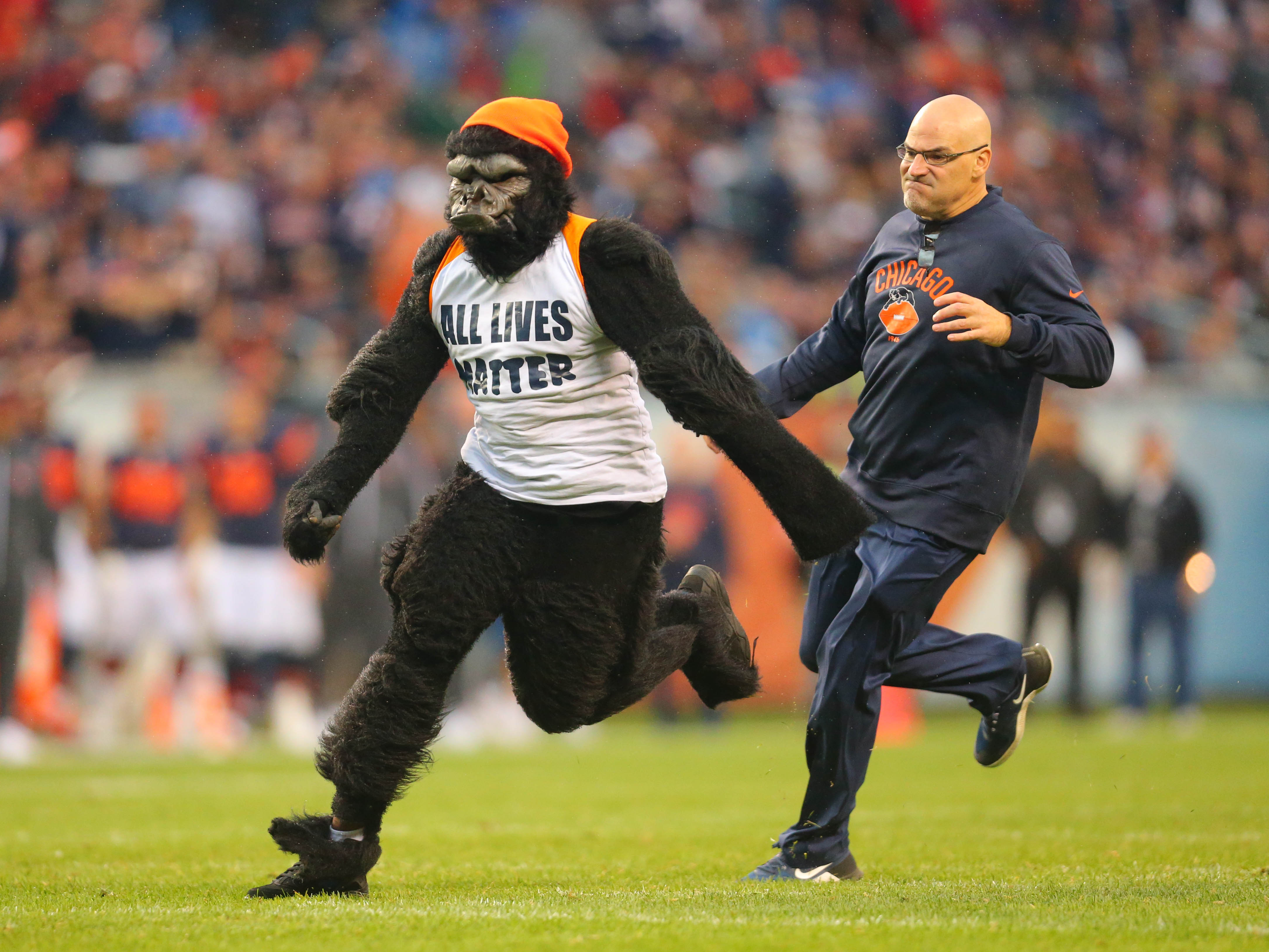 Fan in gorilla suit runs on field during Lions-Bears game