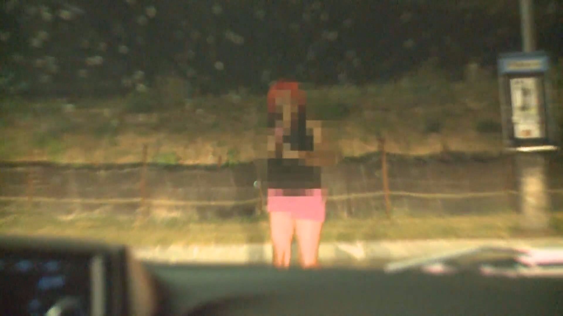 Valley prostitution ring dismantled