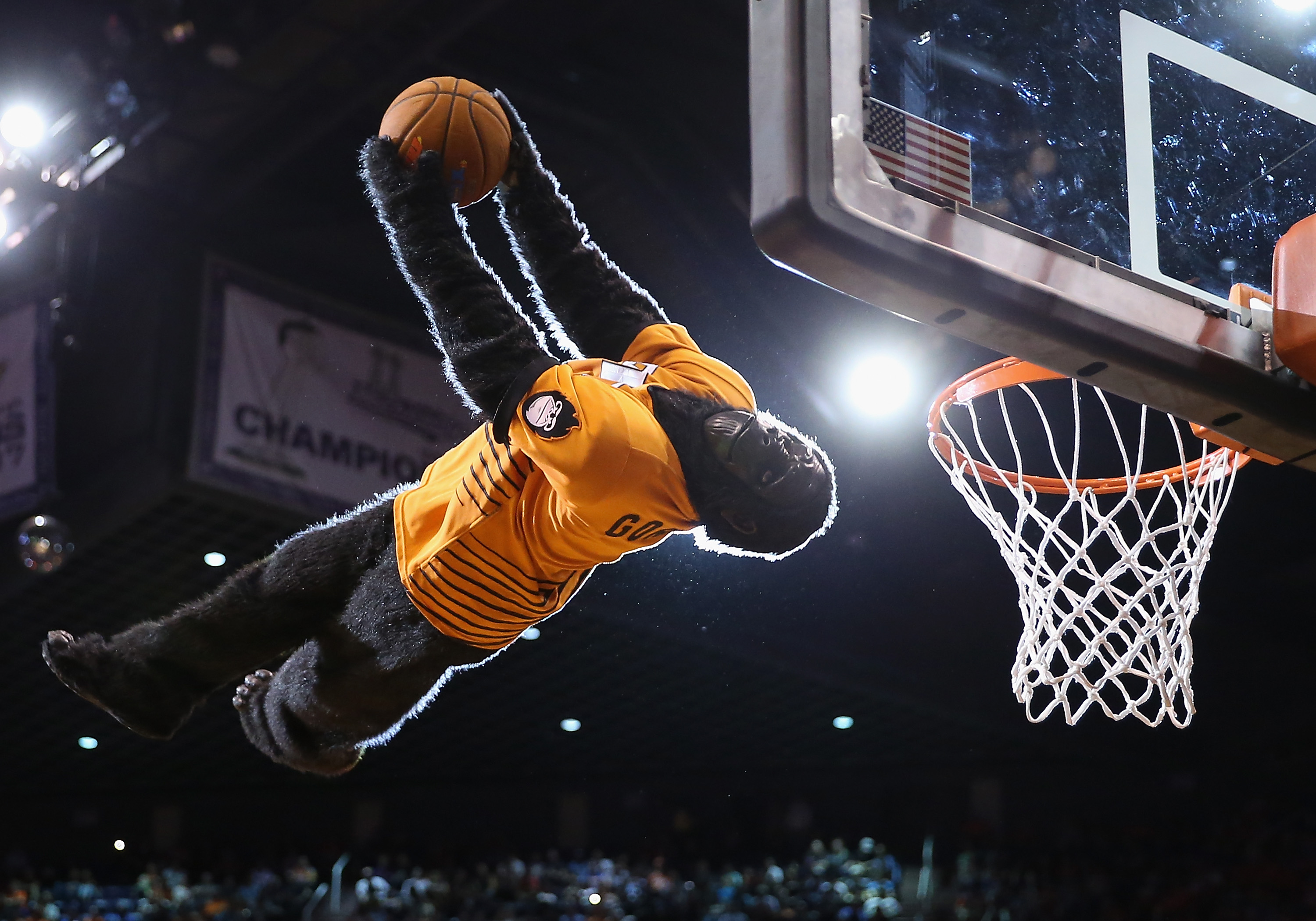 Who is Go the Gorilla? Phoenix Suns Mascot —