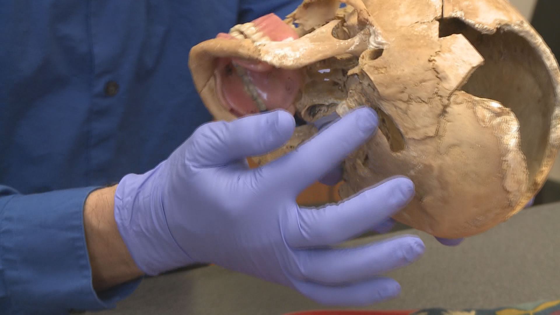 The three stages of identifying human remains