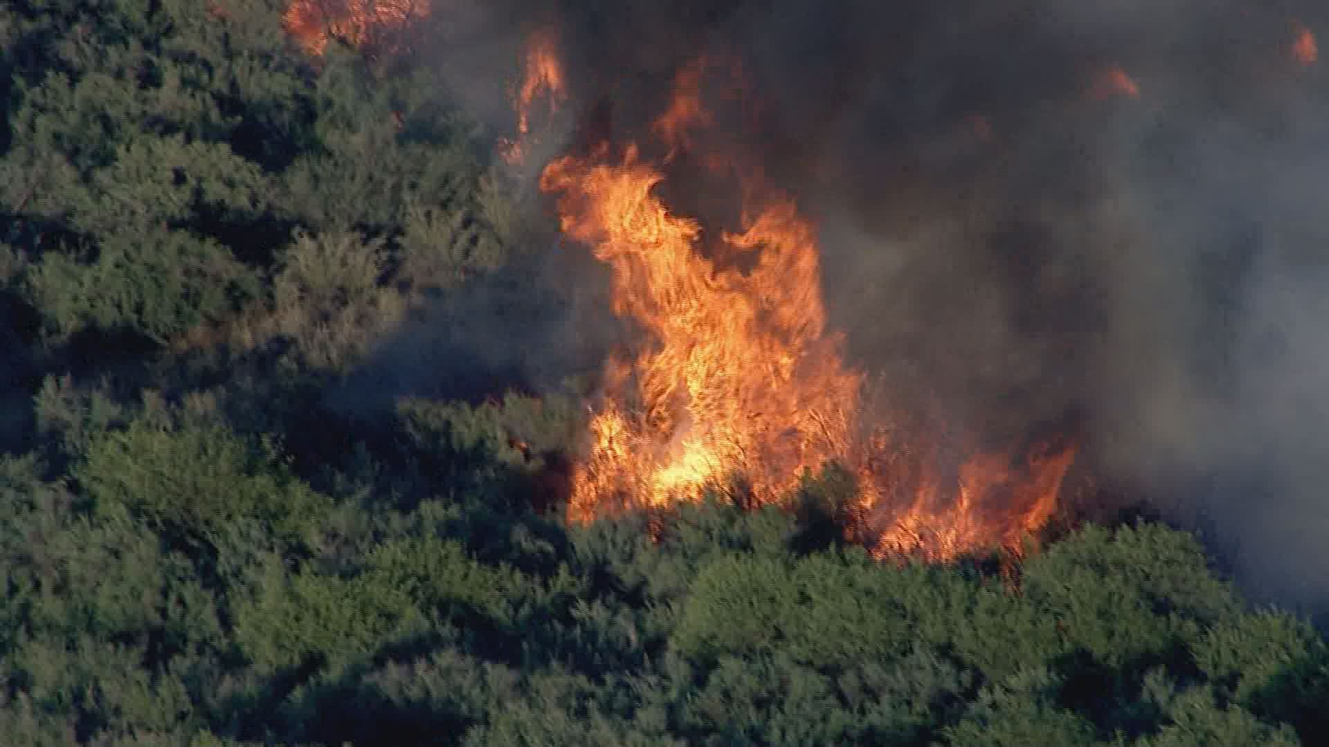 Cactus Fire grows to 500 acres; 30 percent contained as of Thursday  afternoon | 12news.com