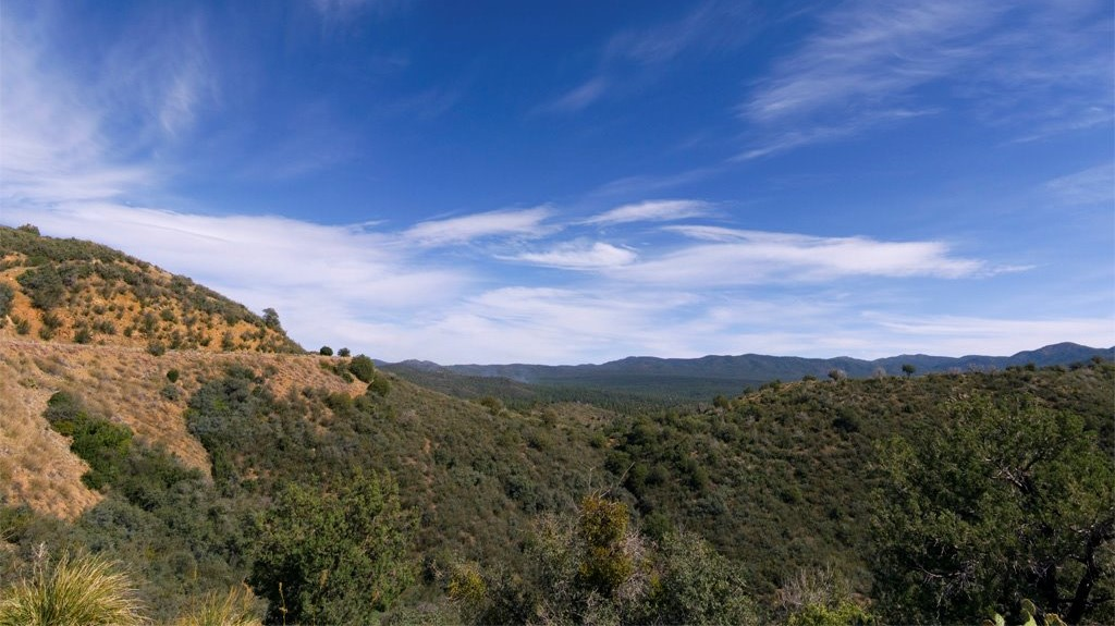 12news.com | Prescott National Forest to enforce fire ...