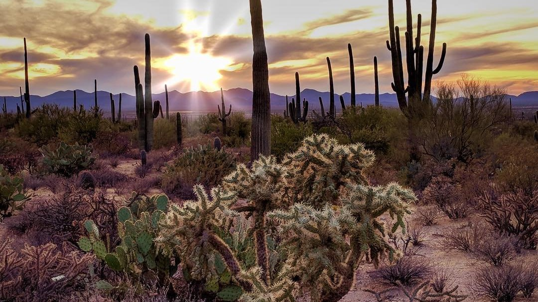 This Phoenix winter could go down as one of warmest on record