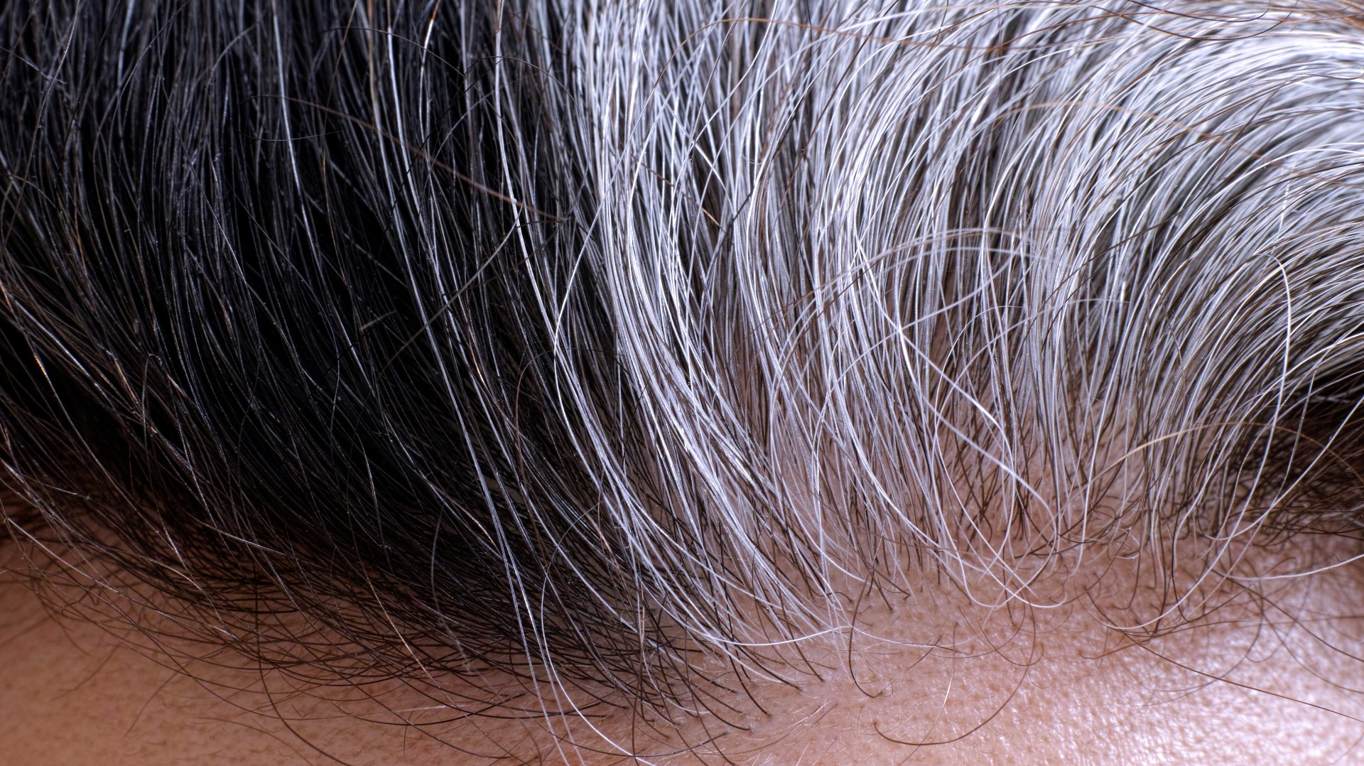 Verify Pluck one gray hair, will more actually grow back?