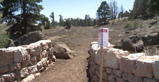 Plague found in Flagstaff, officials urge precautions | 12news.com